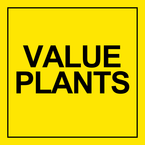 Value Plants